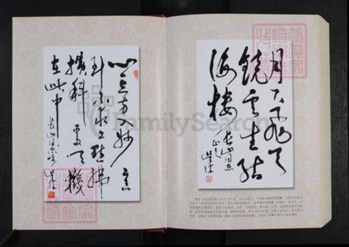 山东省潍坊市安丘市王氏族谱-寿山王氏宗谱.九世三支谱.pdf电子版预览图3