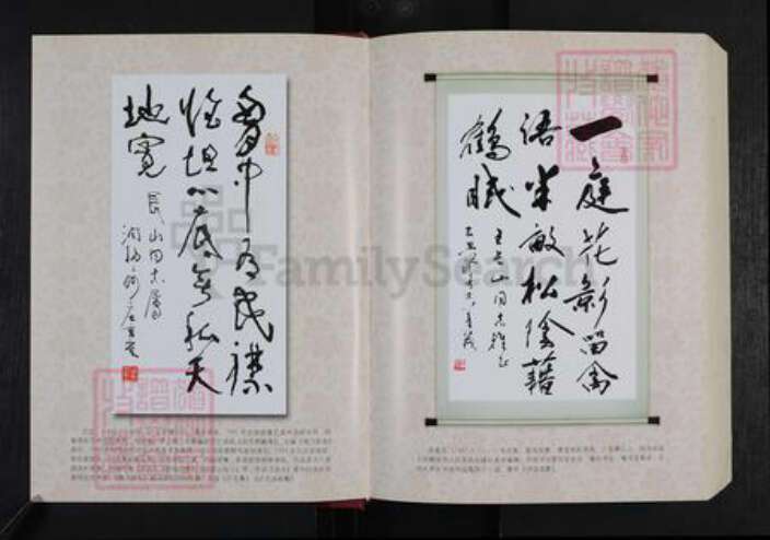 山东省潍坊市安丘市王氏族谱-寿山王氏宗谱.九世三支谱.pdf电子版预览图4