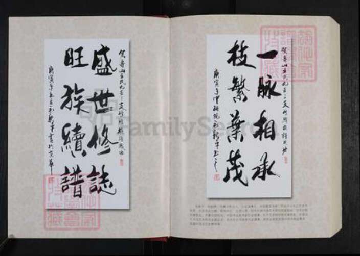山东省潍坊市安丘市王氏族谱-寿山王氏宗谱.九世三支谱.pdf电子版预览图5