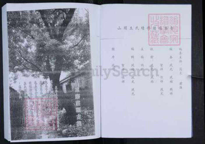 山东省淄博市博山区王氏敦本堂族谱-王氏族谱.苗山六门裔山头宗谱.pdf电子版预览图2