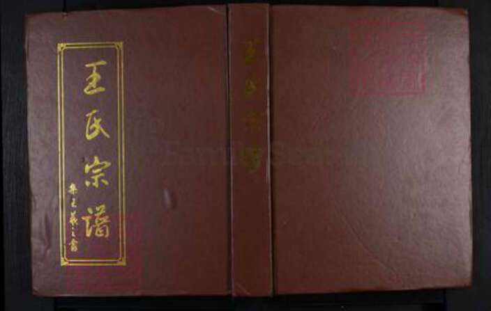 江苏省淮安市涟水县王氏三槐堂族谱-王氏宗谱.pdf电子版缩略图