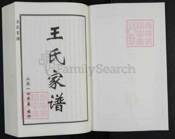 河北省沧州盐山县常庄乡王氏族谱-王氏家谱.pdf电子版预览图1