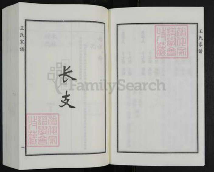 河北省沧州盐山县常庄乡王氏族谱-王氏家谱.pdf电子版预览图5