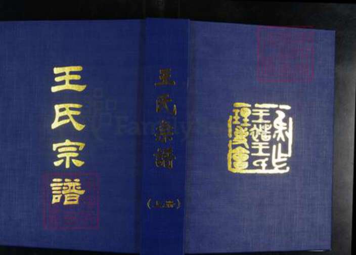 河南省焦作市解放区王氏族谱-王氏宗谱.pdf电子版缩略图