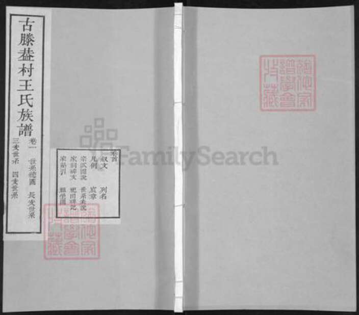 山东省枣庄市滕州市滨湖镇王氏族谱-古滕葢村王氏族谱.pdf电子版缩略图