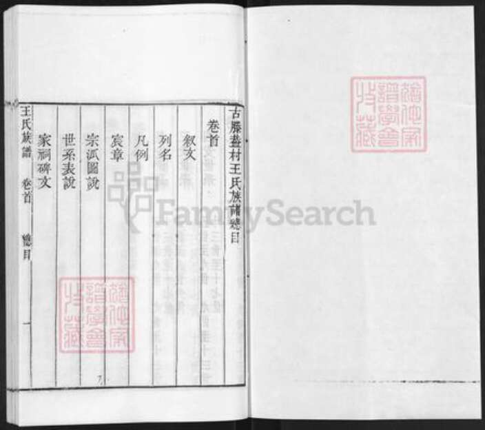 山东省枣庄市滕州市滨湖镇王氏族谱-古滕葢村王氏族谱.pdf电子版预览图1