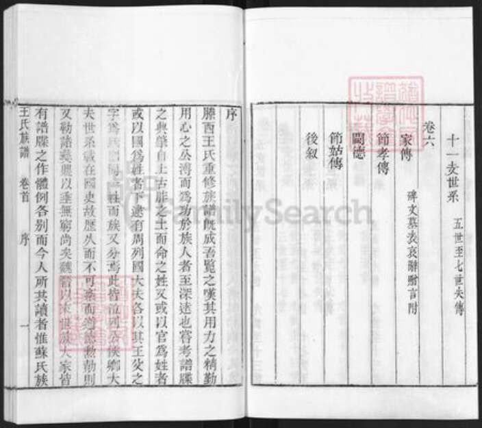山东省枣庄市滕州市滨湖镇王氏族谱-古滕葢村王氏族谱.pdf电子版预览图3