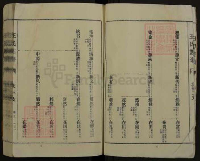河南省商丘市夏邑县王集乡王氏三槐堂族谱-王氏族谱.pdf电子版预览图3