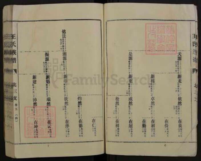 河南省商丘市夏邑县王集乡王氏三槐堂族谱-王氏族谱.pdf电子版预览图4
