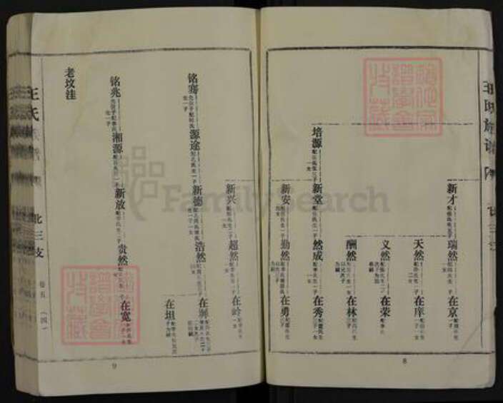 河南省商丘市夏邑县王集乡王氏三槐堂族谱-王氏族谱.pdf电子版预览图5