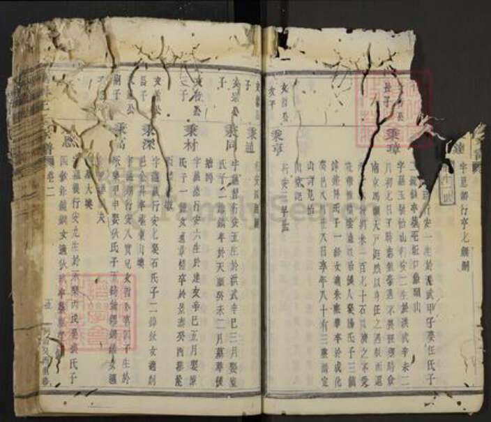 浙江省绍兴新昌县新昌王氏族谱-南屏王氏宗谱.pdf电子版预览图5