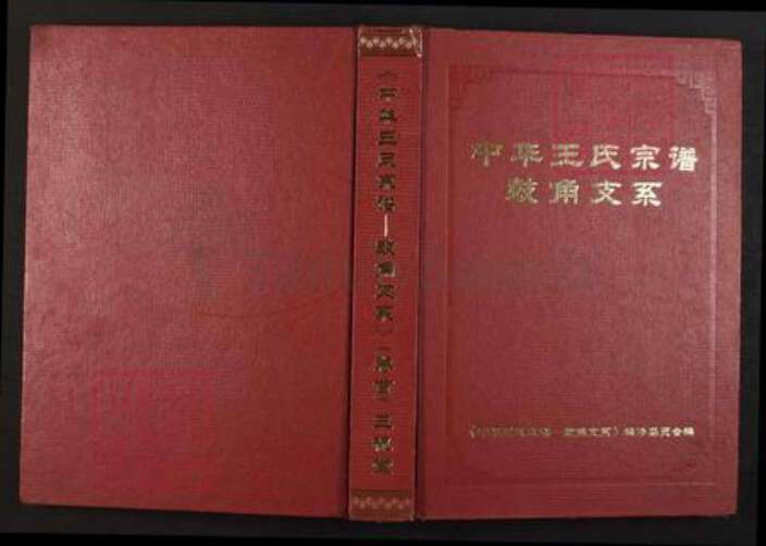 湖北省黄冈市黄梅县停前镇王氏三槐堂族谱-中华王氏宗谱.鼓角支系.pdf电子版缩略图