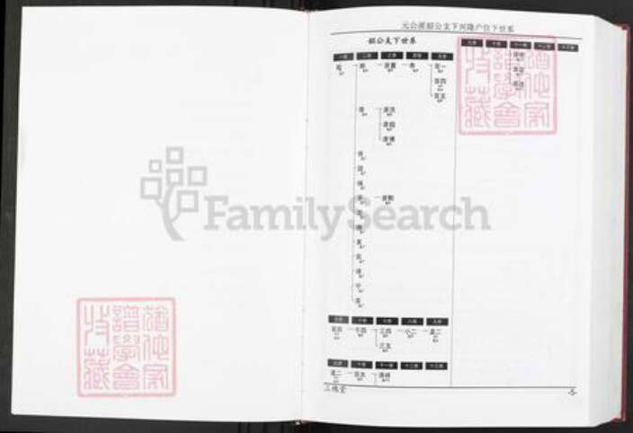 湖北省黄冈市武穴市梅川镇王氏三槐堂族谱-武穴王氏宗谱.pdf电子版预览图4