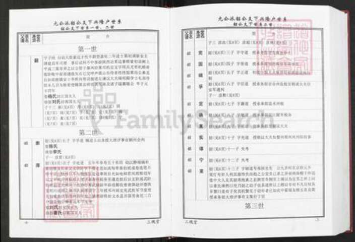 湖北省黄冈市武穴市梅川镇王氏三槐堂族谱-武穴王氏宗谱.pdf电子版预览图5