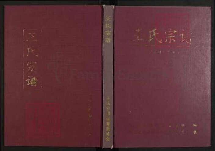 江西省鹰潭市贵溪市滨江镇王氏三槐堂族谱-王氏宗谱.pdf电子版缩略图
