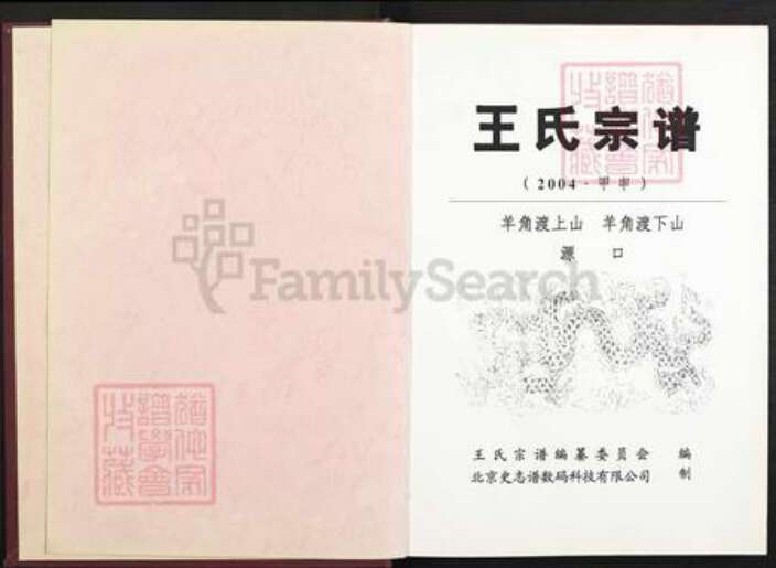 江西省鹰潭市贵溪市滨江镇王氏三槐堂族谱-王氏宗谱.pdf电子版预览图2