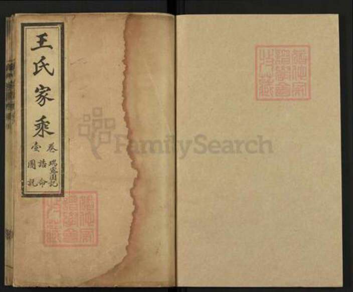 山东省德州市临邑县王氏族谱-王氏家乘.pdf电子版预览图1
