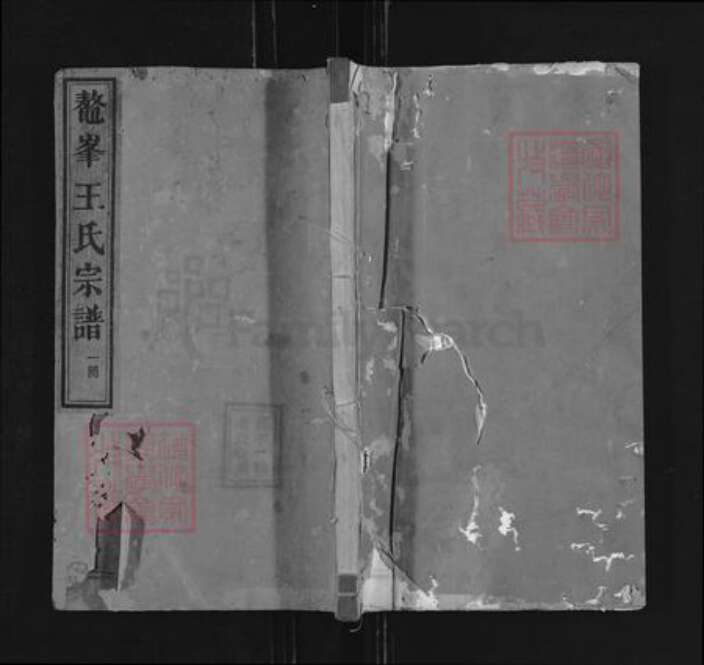福建省王氏族谱-鳌峰王氏宗谱.pdf电子版缩略图