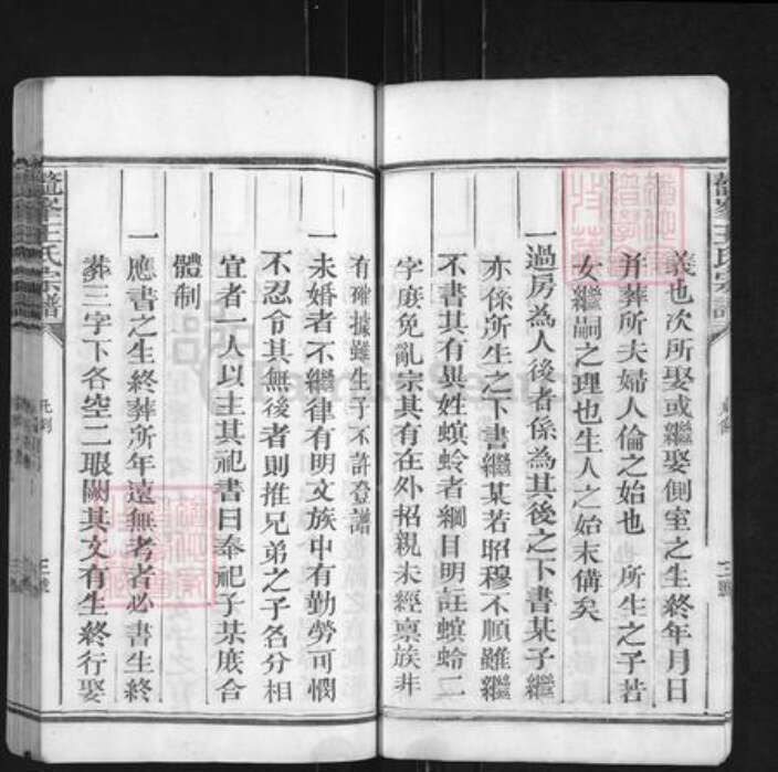 福建省王氏族谱-鳌峰王氏宗谱.pdf电子版预览图5