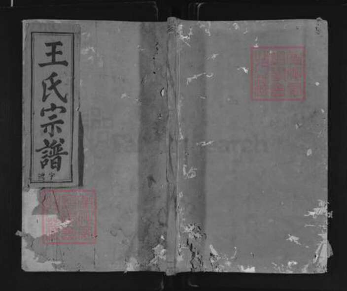 江西省上饶市玉山县樟村镇王氏族谱-源口王氏宗谱.pdf电子版缩略图