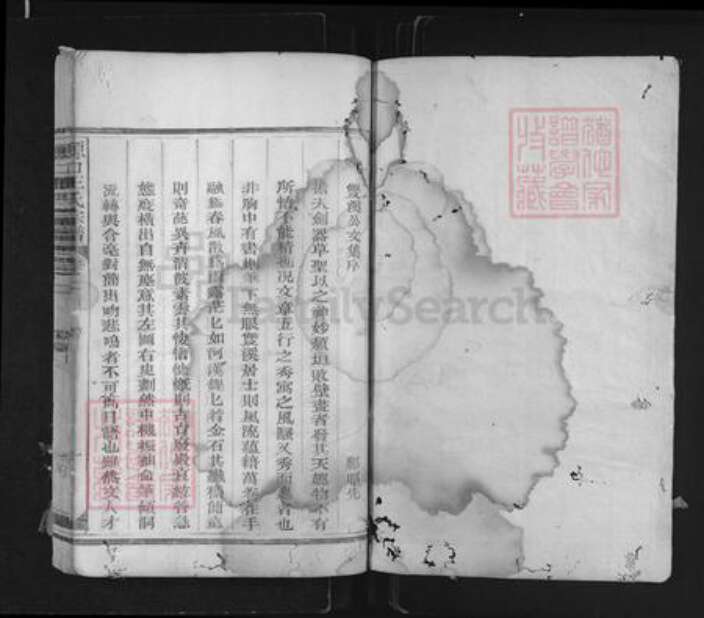江西省上饶市玉山县樟村镇王氏族谱-源口王氏宗谱.pdf电子版预览图1