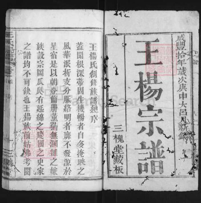 湖北省黄冈市团风县团风镇王氏三槐堂族谱-王杨宗谱.pdf电子版预览图1