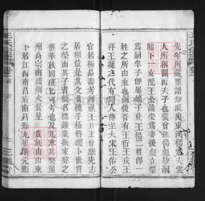 湖北省黄冈市团风县团风镇王氏三槐堂族谱-王杨宗谱.pdf电子版预览图2