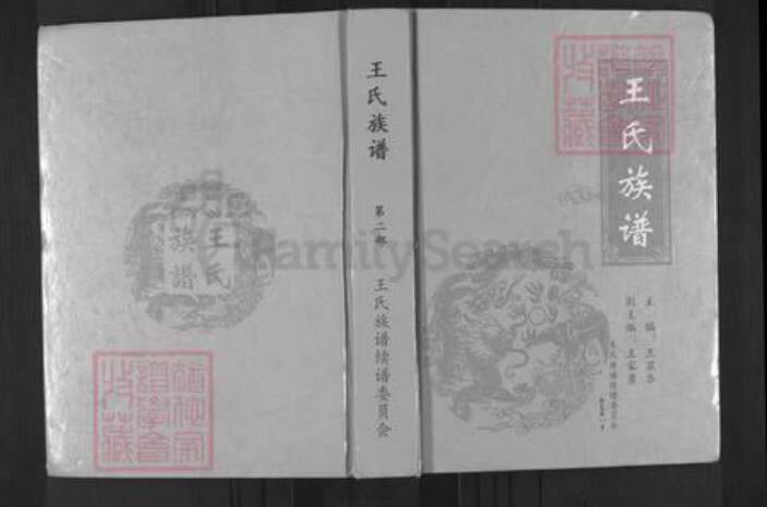 四川省遂宁市安居区三家镇王氏族谱-王氏族谱.pdf电子版缩略图
