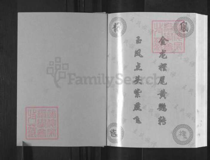 四川省遂宁市安居区三家镇王氏族谱-王氏族谱.pdf电子版预览图1