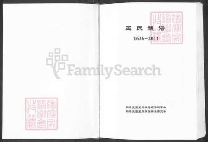 山东省泰安市新泰市王氏族谱-王氏族谱.pdf电子版预览图1