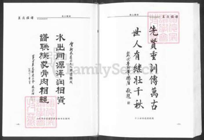 山东省泰安市新泰市王氏族谱-王氏族谱.pdf电子版预览图4