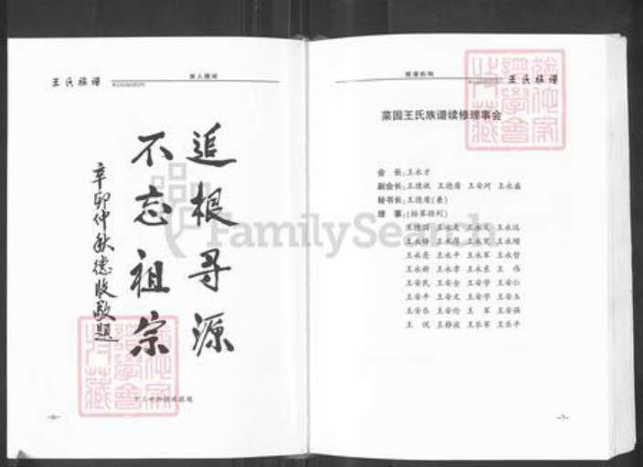 山东省泰安市新泰市王氏族谱-王氏族谱.pdf电子版预览图5