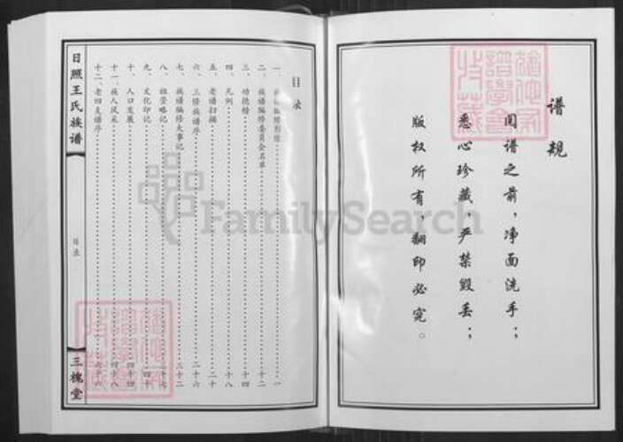 山东省日照市东港区王氏三槐堂族谱-日照王氏族谱.pdf电子版预览图2