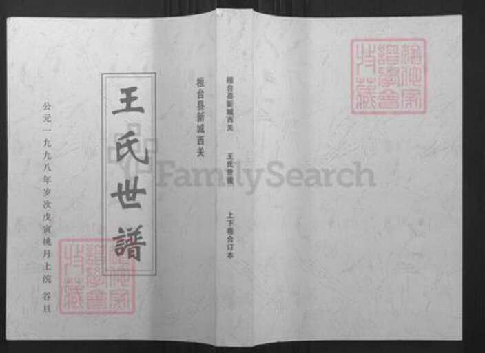 山东省淄博市桓台县新城镇王氏族谱-王氏世谱.pdf电子版缩略图