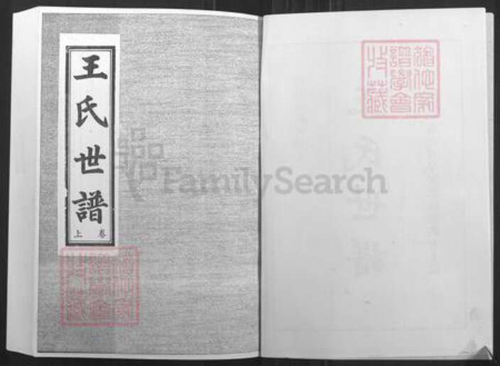 山东省淄博市桓台县新城镇王氏族谱-王氏世谱.pdf电子版预览图2