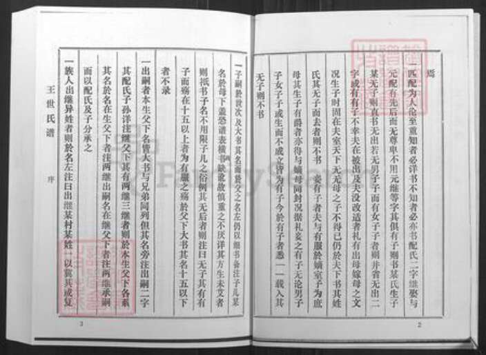 山东省淄博市桓台县新城镇王氏族谱-王氏世谱.pdf电子版预览图4