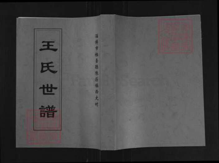 山东省淄博市桓台县王氏族谱-王氏世谱.pdf电子版缩略图