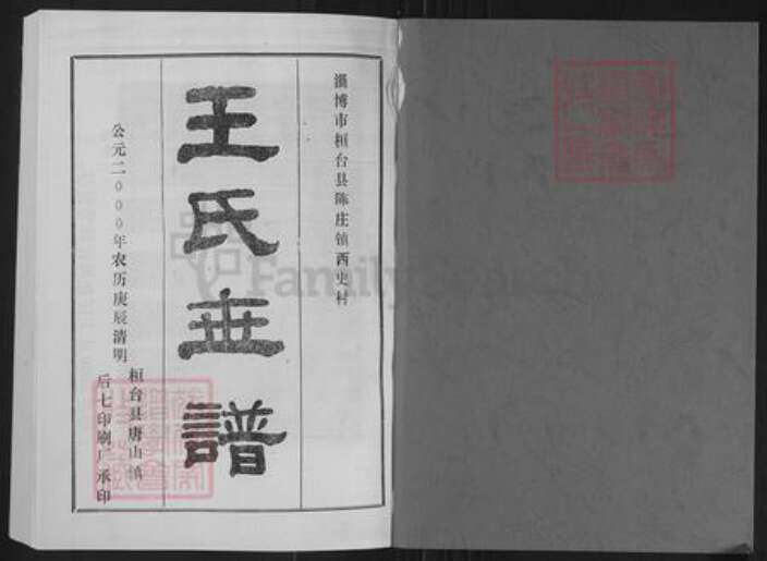 山东省淄博市桓台县王氏族谱-王氏世谱.pdf电子版预览图1