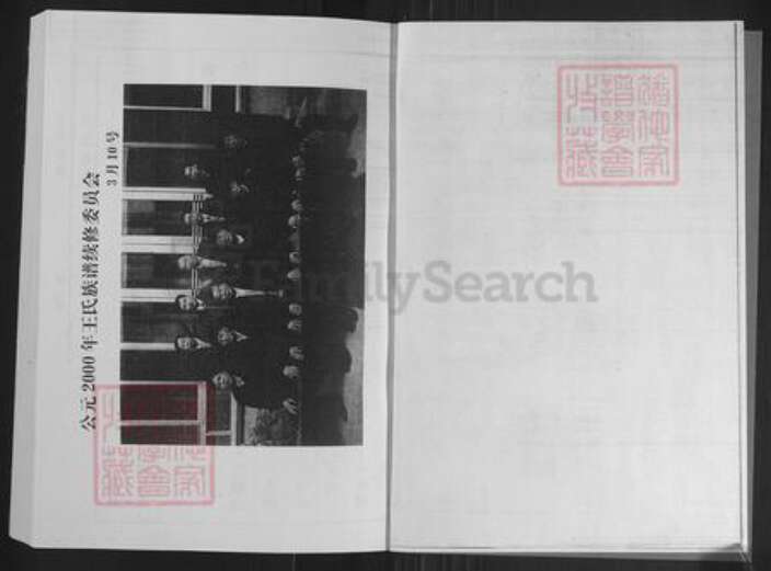 山东省淄博市桓台县王氏族谱-王氏世谱.pdf电子版预览图2