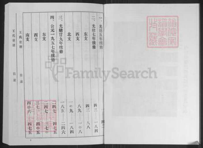 山东省淄博市桓台县王氏族谱-王氏世谱.pdf电子版预览图3