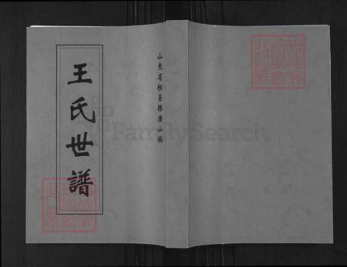 山东省淄博市桓台县唐山镇王氏族谱-王氏世谱.pdf电子版缩略图