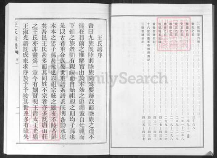 山东省淄博市桓台县唐山镇王氏族谱-王氏世谱.pdf电子版预览图3