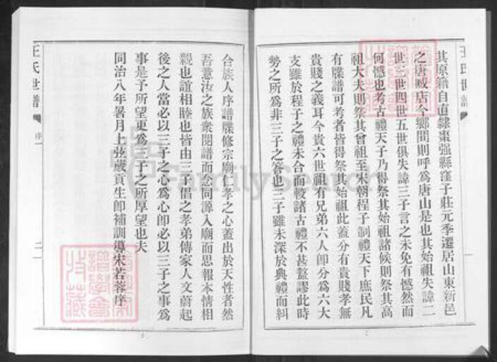 山东省淄博市桓台县唐山镇王氏族谱-王氏世谱.pdf电子版预览图4