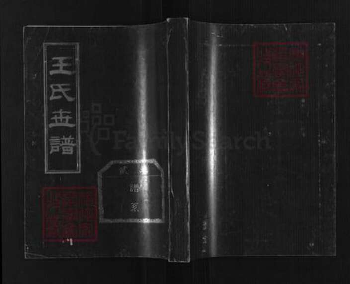 山东省淄博市桓台县荆家镇王氏族谱-王氏世谱.pdf电子版缩略图