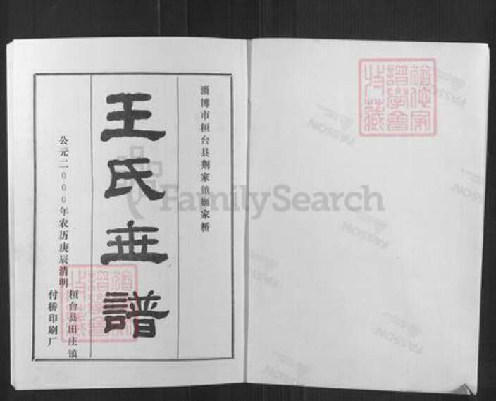 山东省淄博市桓台县荆家镇王氏族谱-王氏世谱.pdf电子版预览图1