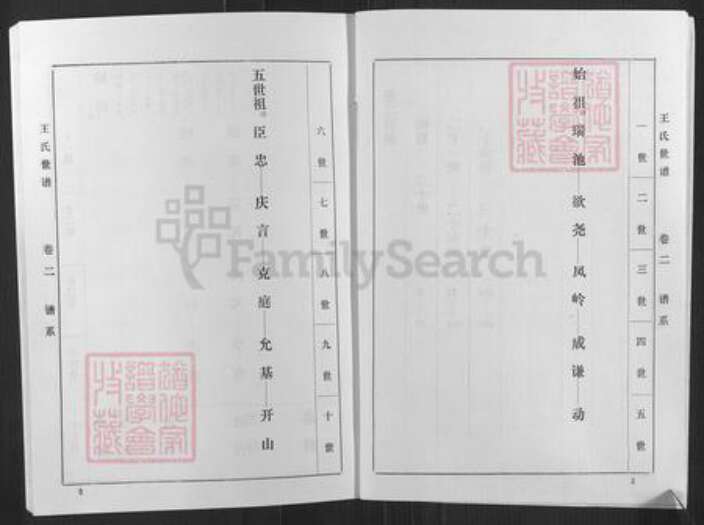 山东省淄博市桓台县荆家镇王氏族谱-王氏世谱.pdf电子版预览图3