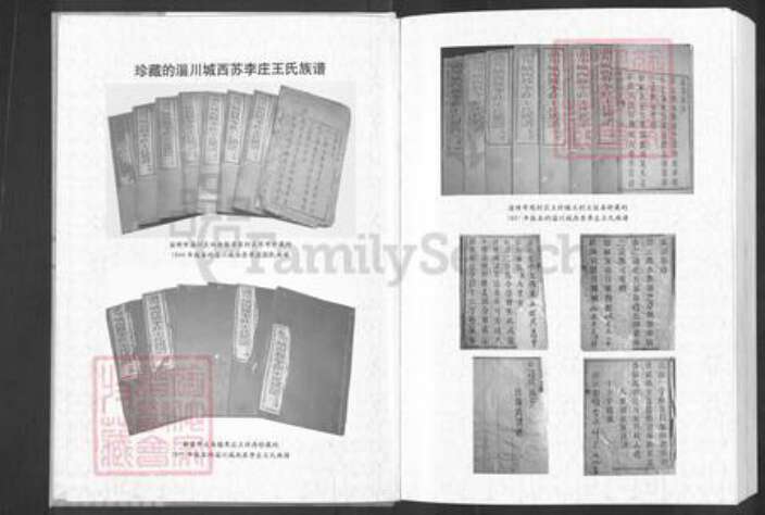 山东省淄博市周村区王氏时思堂族谱-苏李王氏族谱.pdf电子版预览图1