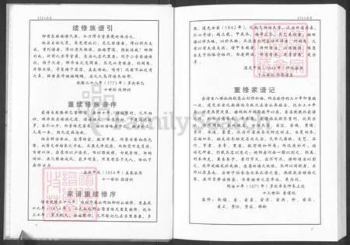 山东省淄博市周村区王氏时思堂族谱-苏李王氏族谱.pdf电子版预览图4