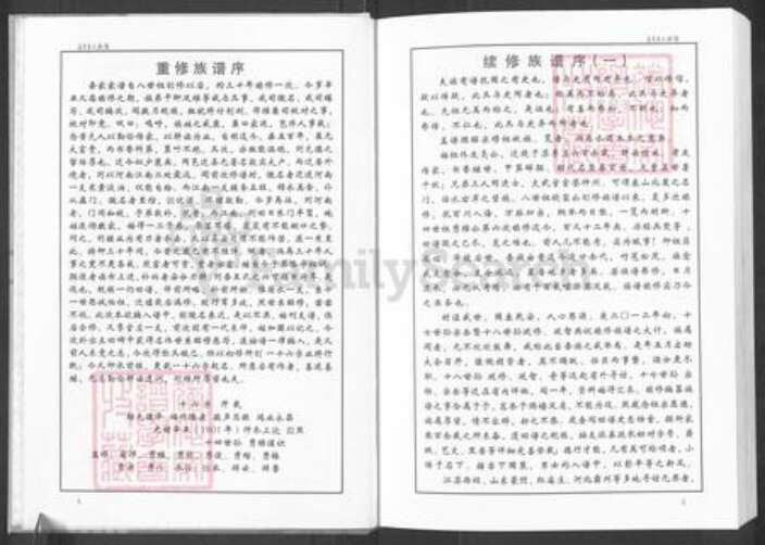 山东省淄博市周村区王氏时思堂族谱-苏李王氏族谱.pdf电子版预览图5
