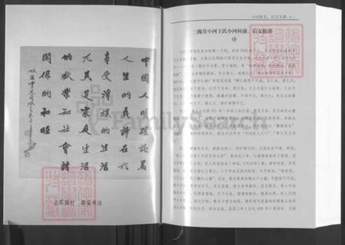 山东省日照市莒县碁山镇王氏三槐堂族谱-三槐堂小河王氏族谱.pdf电子版预览图3